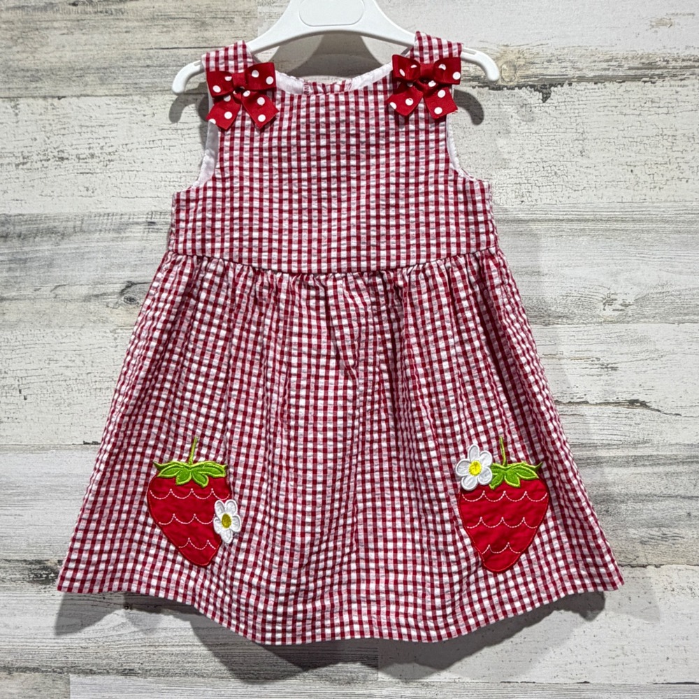 Counting Daisies Dress Girls 2T Red Gingham Strawberry Cottagecore EUC